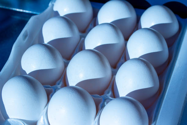 istock Texture background of fresh grocery eggs 1271588473