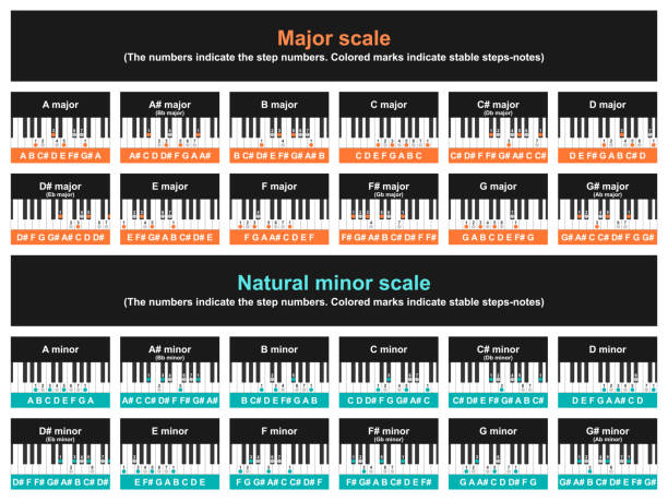 Major and minor scale table Major and minor scale table. Musical theory of playing the piano. Vector chord stock illustrations