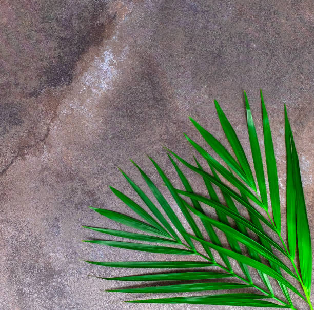 istock Natural dark gray marble texture background with tropical leaves. 1271589737