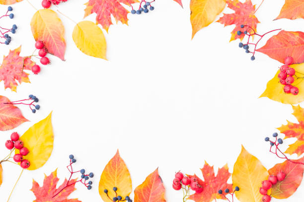 istock Flat lay frame with colorful autumn leaves and berries on a white background 1271590050