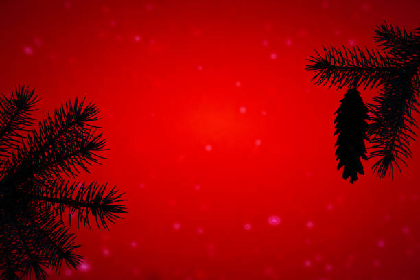 Christmas holiday themed background with pine tree branches and a pine cone on red background with blurred light spots