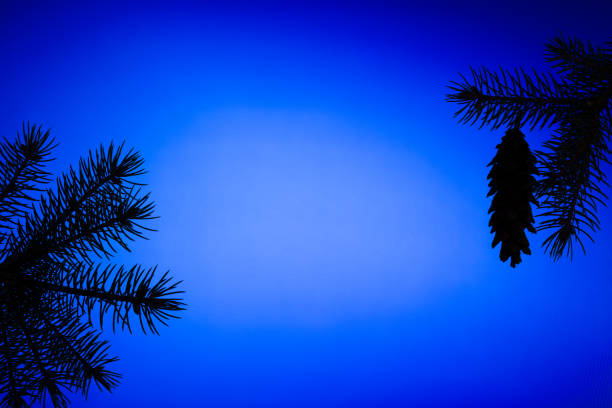 Christmas holiday themed texture with silhouette of pine tree branches and a pine cone on blue background