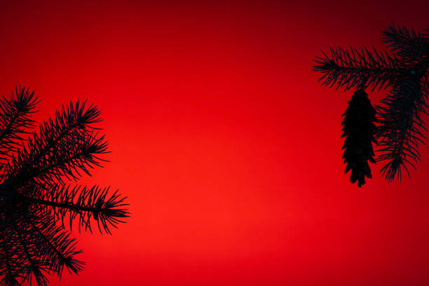 istock Christmas holiday themed background with pine tree branches and a pine cone on red background 1271590879