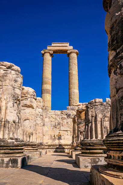 Columns of Didyma, an ancient Greek sanctuary on the coast of Ionia in the domain of the famous city of Miletus. Apollo was the main deity of the sanctuary of Didyma, Aydın, Turkey