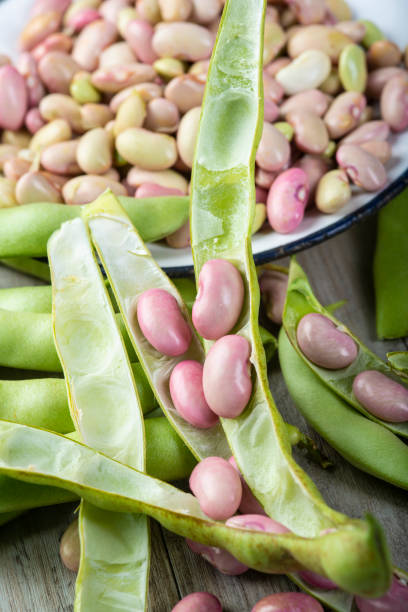 obtenir des haricots de leurs gousses et les préparer à la cuisson - wax bean photos et images de collection