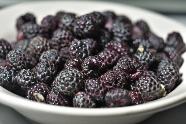 istock black raspberries close-up, black raspberries in plate 1271593313