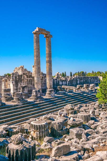 istock Columns of Didyma, Turkey 1271593745
