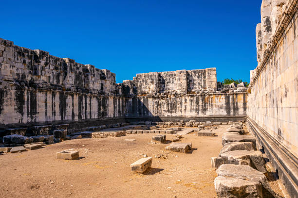 istock Columns of Didyma, Turkey 1271594055
