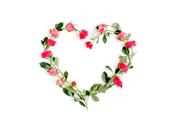 The heart is lined with red roses on white background. Valentine's background. Floral pattern. Flat lay, top view