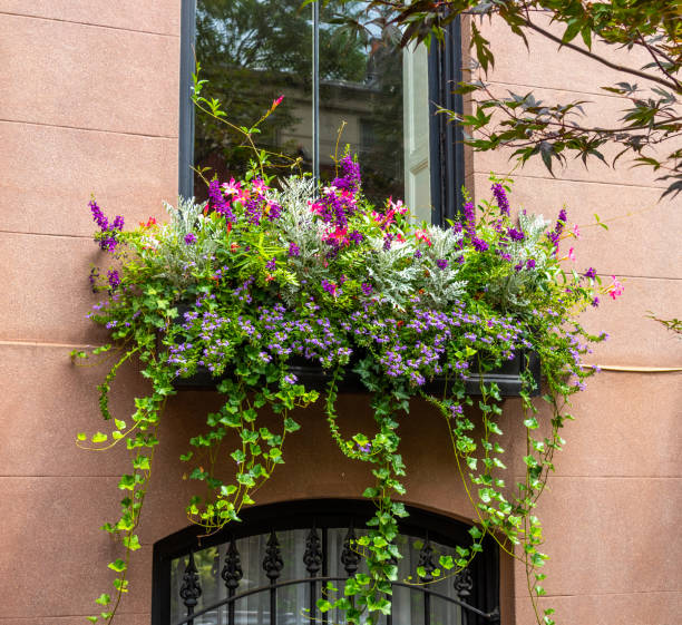 Window box for an old row house on State Street in Brooklyn Heights, NY