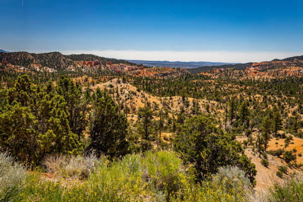 istock Utah State Route 12 Scenic Drive 1271600126