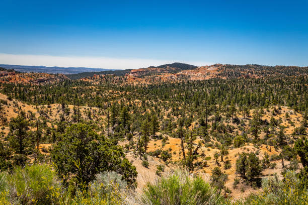 istock Utah State Route 12 Scenic Drive 1271600197