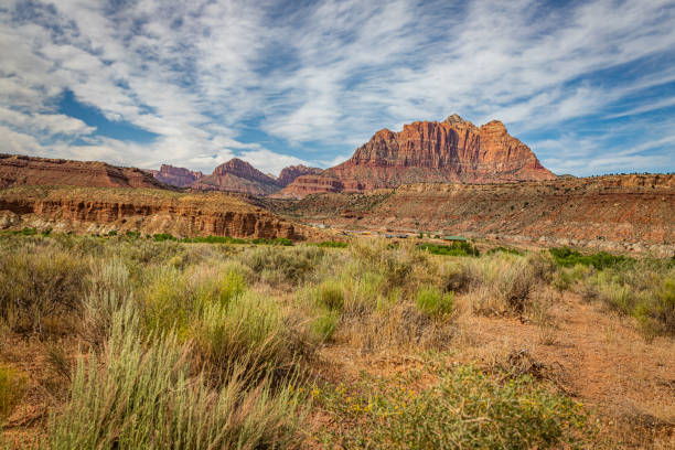 istock Mount Kinesava Zion National Park 1271601059