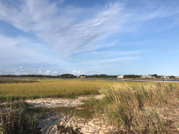 istock Terrell River County Park in Center Moriches 1271601346