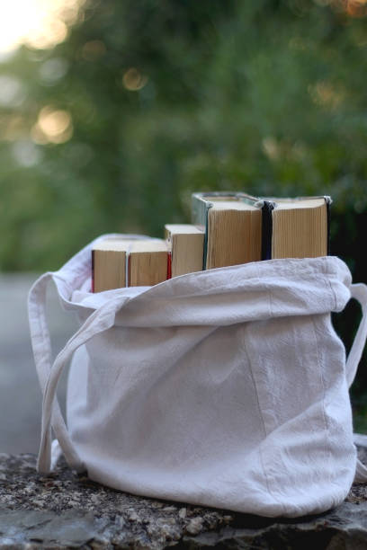istock Bag of Books 1271601444