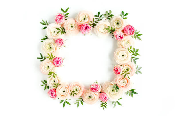 istock Floral pattern frame made of pink ranunculus and roses flower buds on white background. Flat lay, top view floral background 1271601708