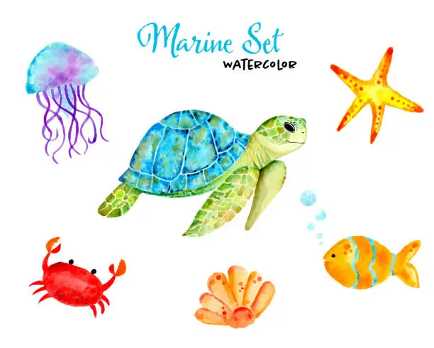 Vector illustration of Marine Collection