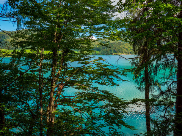 istock Lake Fuschlsee, Austria, in summer 1271604775