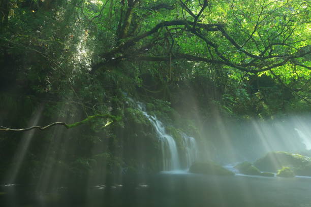 istock Akita Prefecture summer mountain stream 1271606123