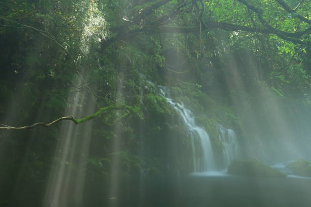 istock Akita Prefecture summer mountain stream 1271606126
