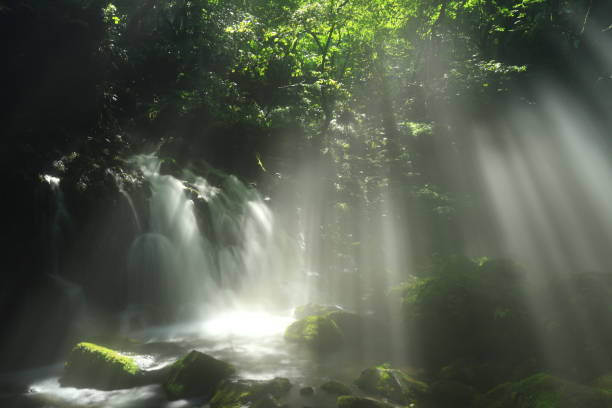 istock Akita Prefecture summer mountain stream 1271606128