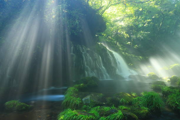 akita präfektur sommer-gebirgsbach - spring waterfall japan landscape stock-fotos und bilder