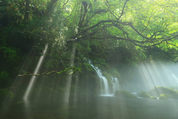 istock Akita Prefecture summer mountain stream 1271606131
