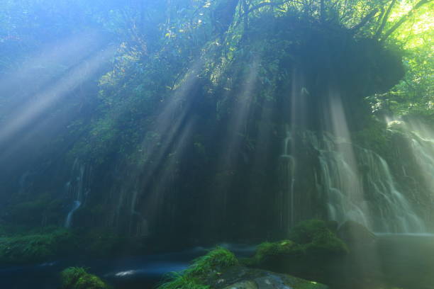 istock Akita Prefecture summer mountain stream 1271606144