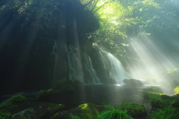 istock Akita Prefecture summer mountain stream 1271606161