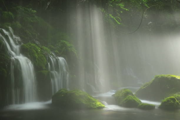 Akita Prefecture summer mountain stream