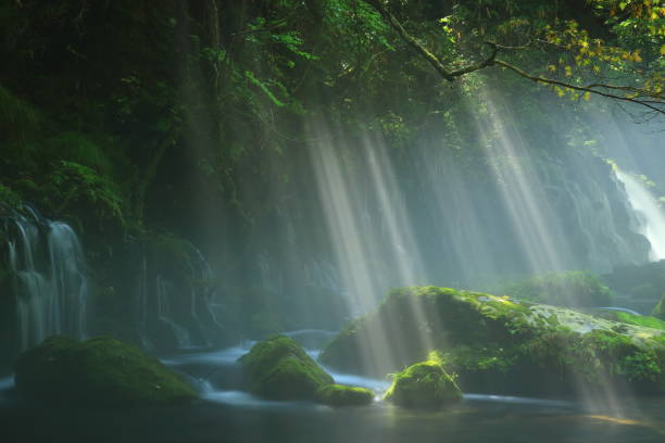 istock Akita Prefecture summer mountain stream 1271606194