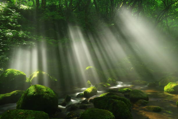 istock Akita Prefecture summer mountain stream 1271606199