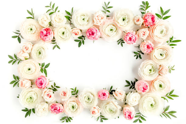 istock Floral pattern frame made of pink ranunculus and roses flower buds on white background. Flat lay, top view floral background 1271607082