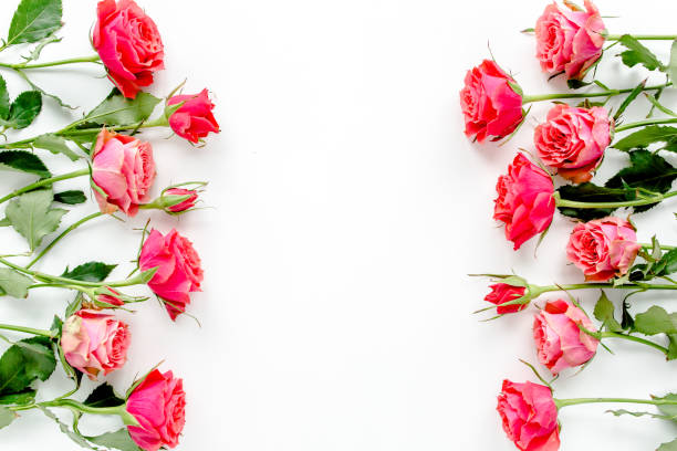 istock Flower border frame made of red roses on white background with copy space for text. Valentine's background. Floral pattern. Flat lay, top view 1271608764