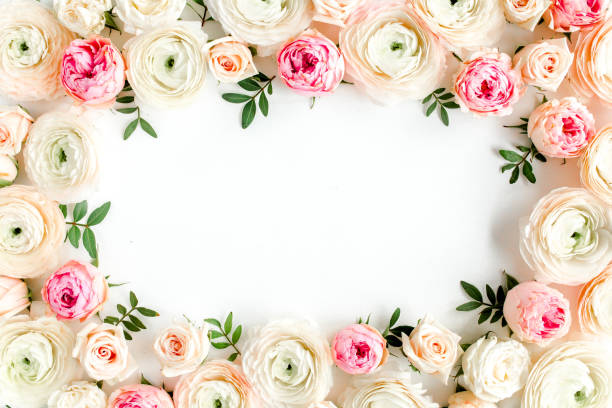 istock Floral pattern frame made of pink ranunculus and roses flower buds on white background. Flat lay, top view floral background 1271608804