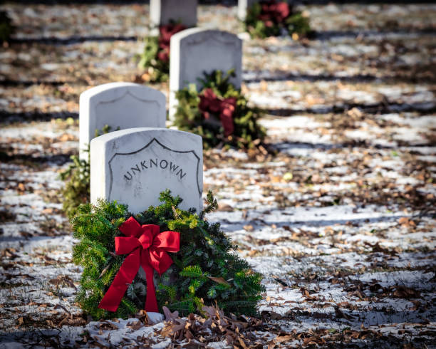 istock Wreaths of Unknowns 2 1271613459