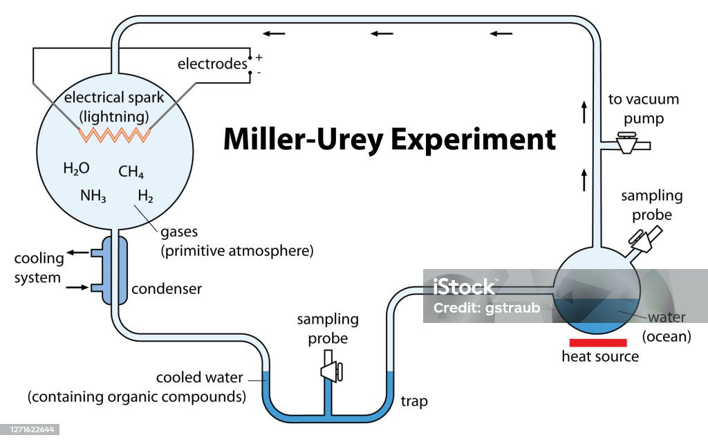 Millerurey Experiment Stock Illustration - Download Image Now - Scientific  Experiment, Abstract, Amino Acid - iStock