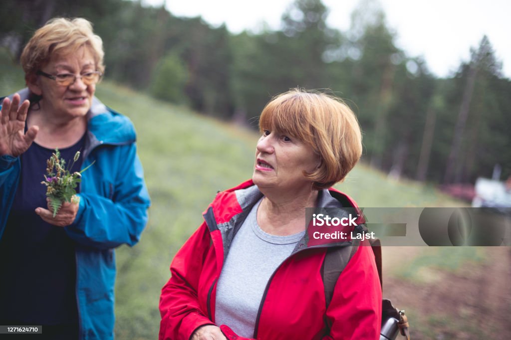 Female Reminiscing Reminiscing While Staying Vital Stock Photo - Download Image Now - 60 ...