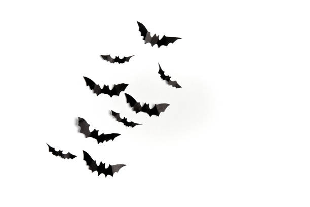 istock Halloween decoration concept black paper bats white cardboard background 1271624807