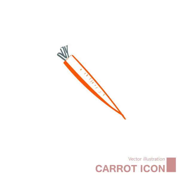 Vector illustration of Vector drawn carrot.