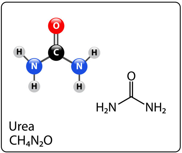 70 Chemical Formula For Urea Stock Photos, Pictures & Royalty-Free ...