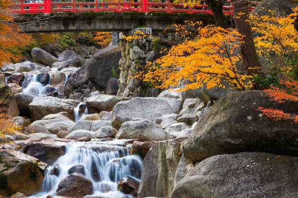 istock Autumn colours with red bridge and waterfall 1271631300