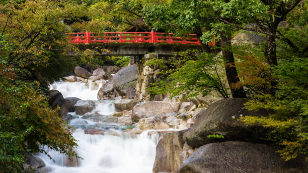 istock Red Japanese bridge over waterfall 1271631310