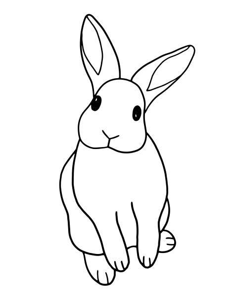 ilustrações, clipart, desenhos animados e ícones de coelhinho curioso bonito - rabbit livestock pets cartoon