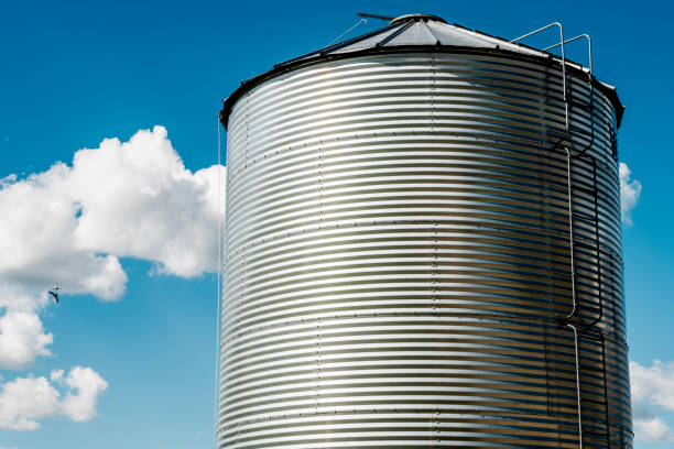 contenitore di grano - foto stock