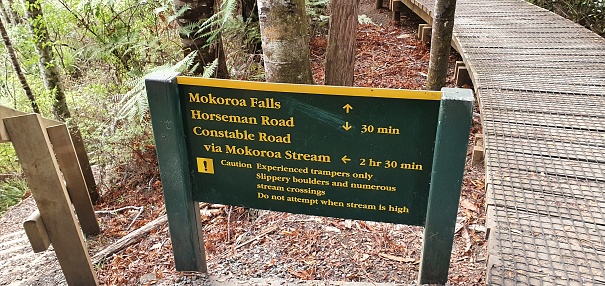 Goldie Bush Scenic Reserve offers a variety of walks through coastal kauri forest, taking in the impressive Mokoroa Falls
