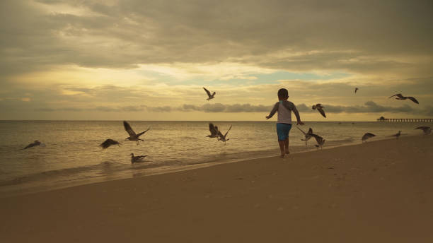 Kid playing at the beach chasing seagulls