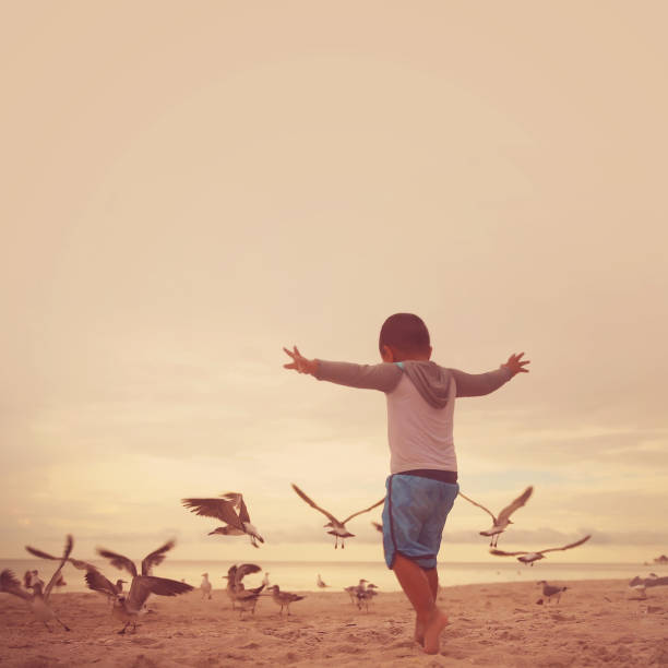 Little boy playing around seagulls in Naples beach
