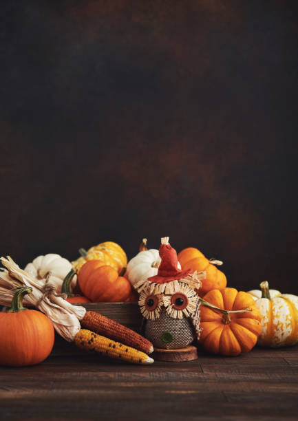 disposizione thanksgiving fall con zucche e gufo di tessuto in cassa di legno - autumn corn indian corn decoration foto e immagini stock
