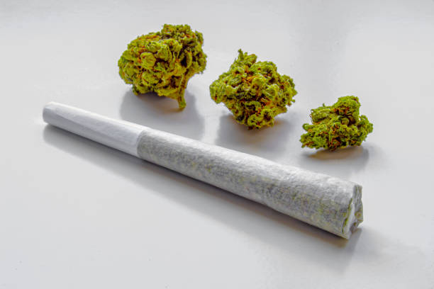A Preroll Medicinal Cannabis Joint On A White Surface With 3 Flowers Of Cannabis On The Background Stock Photo - Download Image Now - iStock